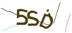 Identifying code