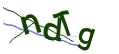 Identifying code