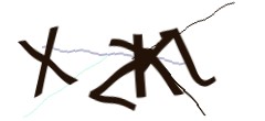 Identifying code