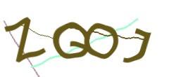 Identifying code