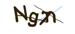 Identifying code