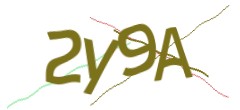 Identifying code