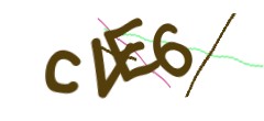 Identifying code
