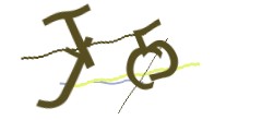 Identifying code