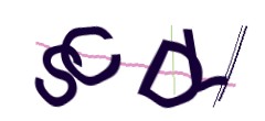 Identifying code