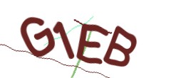 Identifying code