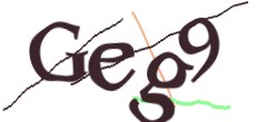 Identifying code