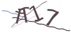 Identifying code