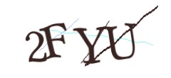 Identifying code