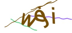 Identifying code