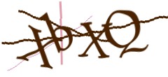 Identifying code