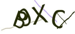 Identifying code