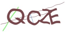 Identifying code