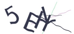 Identifying code