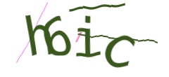 Identifying code