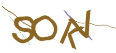 Identifying code