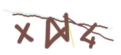 Identifying code