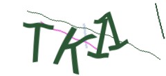 Identifying code