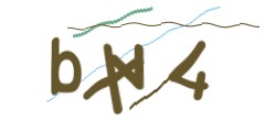 Identifying code