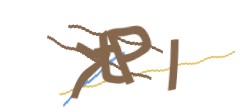 Identifying code