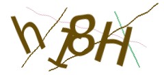 Identifying code