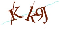 Identifying code