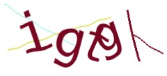 Identifying code