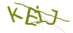 Identifying code