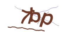 Identifying code