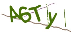 Identifying code