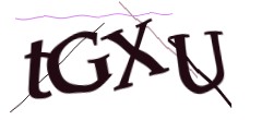 Identifying code
