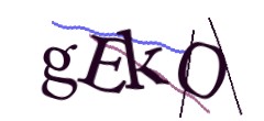 Identifying code