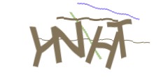 Identifying code