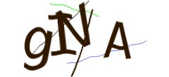 Identifying code