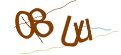 Identifying code