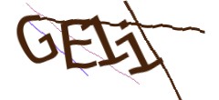 Identifying code