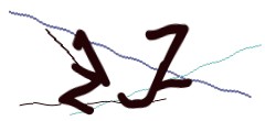 Identifying code