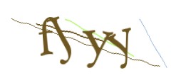 Identifying code