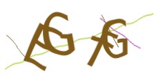 Identifying code