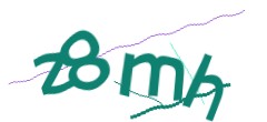 Identifying code