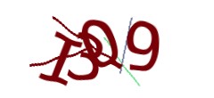 Identifying code