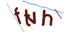 Identifying code