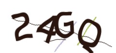Identifying code