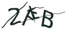 Identifying code