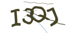 Identifying code