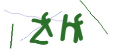Identifying code