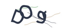 Identifying code