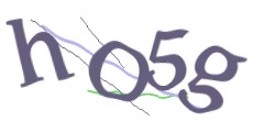 Identifying code