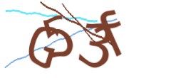 Identifying code