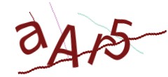 Identifying code